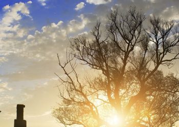 Call for Applications: Masters Student Mobility to Norway 2025