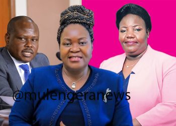 Auditor General on What Must be mitigated To  Improve Electricity Sub Sector Performance