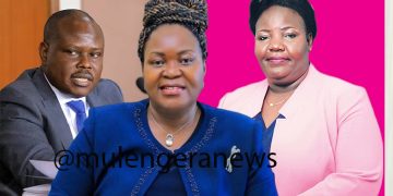 Auditor General on What Must be mitigated To Improve Electricity Sub Sector Performance