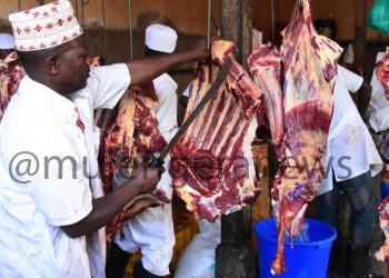 Parliamentary Committee Flags Dire Conditions in Uganda’s Abattoirs