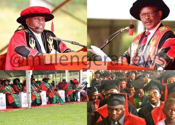 The College of Veterinary Medicine, Animal Resources, and Biosecurity Marks Milestone Achievement