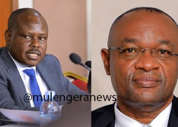 Auditors Give Sobering Assessment of PDM