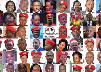 ABED BWANIKA: Because of the Kyagulanyi Effect, Most Baganda MPs Can not Speak Basic English, Which Explains Their Silence In Speaker Anita Among’s Parliament