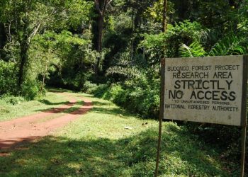 Advanced Training Course in Deforestation-Free Supply Chain Management