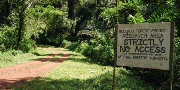 Advanced Training Course in Deforestation-Free Supply Chain Management