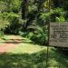 Advanced Training Course in Deforestation-Free Supply Chain Management