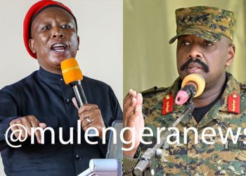 Fire Blazing Between Uganda & South Africa as Gen.Muhoozi Fires Fierce Warning at Julius Malema – ‘Stop It Now’