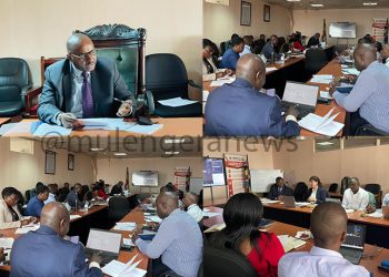 Dr. Hillary Kisanja Decries Bureaucracy in Women’s Access to Government Funds