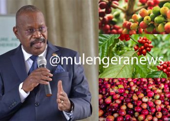 Uganda’s Coffee Exports Surge Amid Rationalization-MAAIF Urges Farmers, Traders to Uphold Quality Standards for Global Success