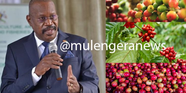 Uganda’s Coffee Exports Surge Amid Rationalization-MAAIF Urges Farmers, Traders to Uphold Quality Standards for Global Success
