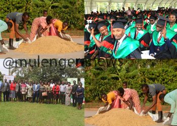 Mak, CGIAR GENDER Impact Platform drive equitable & inclusive agricultural development through enhanced gender & agriculture curricula