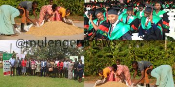 Mak, CGIAR GENDER Impact Platform drive equitable & inclusive agricultural development through enhanced gender & agriculture curricula