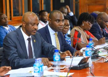 Gov’t Halts Creation of New Administrative Units