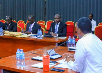 MPs Challenge Audit Report on Parish Development Model