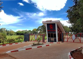 As Expected, Budo Shines & Dominates in S6 Results