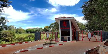 As Expected, Budo Shines & Dominates in S6 Results