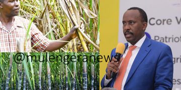 Struggling Sugarcane Farmers Crushed Under URA’s Double Taxation, Losing Billions While Big Manufacturers Evade Accountability