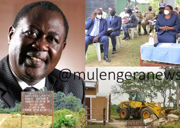 Landowners Cry Foul as Gov’t Cancels Over 10,000 Titles to Favor Billion-Shilling Palm Oil Project in Kyotera