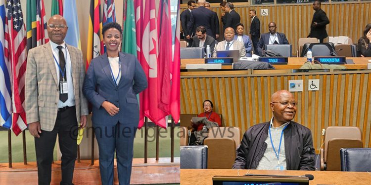 Mukiza Leads as Uganda Shines at UN Statisticians Gathering In New York City