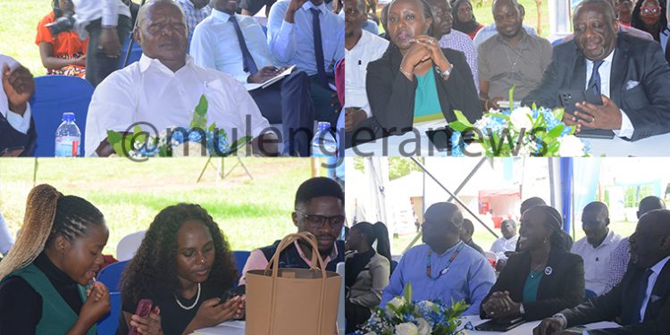 Public Vigilance Demanded as UCC declares War on Unlicensed Courier Operators