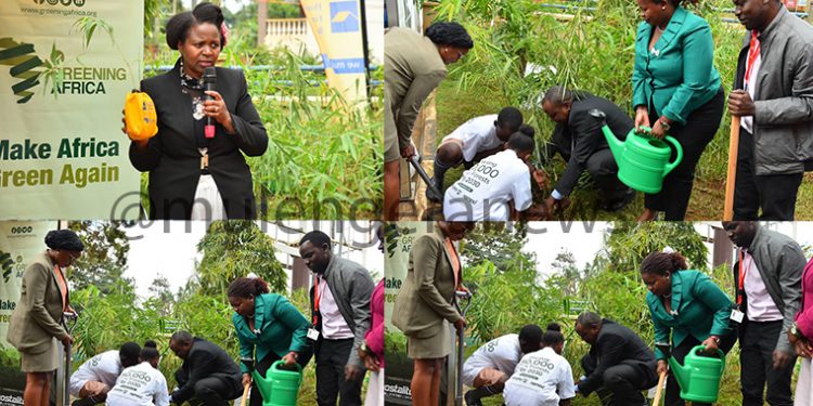 Housing Finance Bank Earns Praise from Ministry of Water & Environment for Ambitious 1 Million Tree-Planting Drive on Word Earth Day