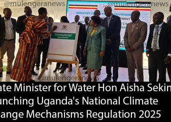 Gov’t Launches Carbon Market Regulations