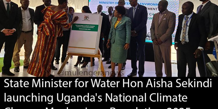 Gov’t Launches Carbon Market Regulations