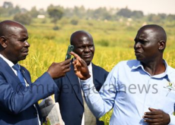 Here’s Why Uganda Won’t Be Renewing Rice Growing & Sand Mining Licenses anymore