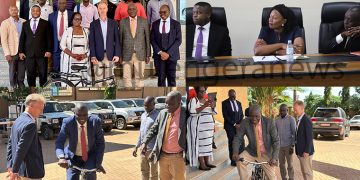 Government Beefs Up Wetland Monitoring