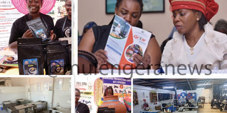 Banks Authorized to Dish Out GROW Project Billions Named & Their Eligibility Criteria or Requirements Are Hereby Explained Too