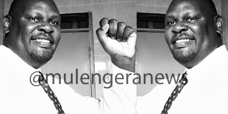 Who Bewitched Our Health System? The Deadly Cost of Paperwork in Maternal Care