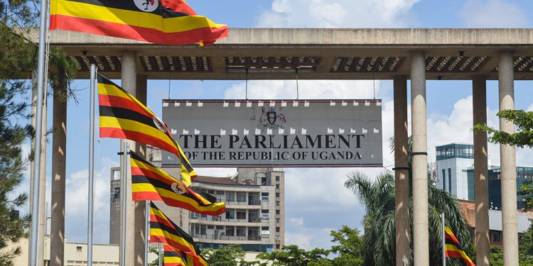 Dropped in 2021, Now Lining Up Again: Ex-MPs Flood NRM Primaries