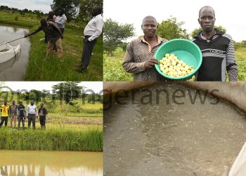 Ugandan Youth Step Up Efforts Against Climate Change Impacts