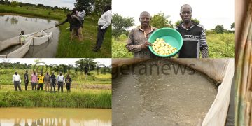 Ugandan Youth Step Up Efforts Against Climate Change Impacts