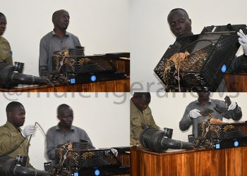 I REGRET STOPPING FELLOW SECURITY GUARDS WHO WANTED TO SHOOT YOU DEAD THE VERY NIGHT WE CAUGHT YOU RED-HANDED! Key UCC Witness Explodes in Court as Suspected Telecom Equipment Vandal Gets His Day in H/W Gladys Kamasanyu’s Makindye-based Utilities Court