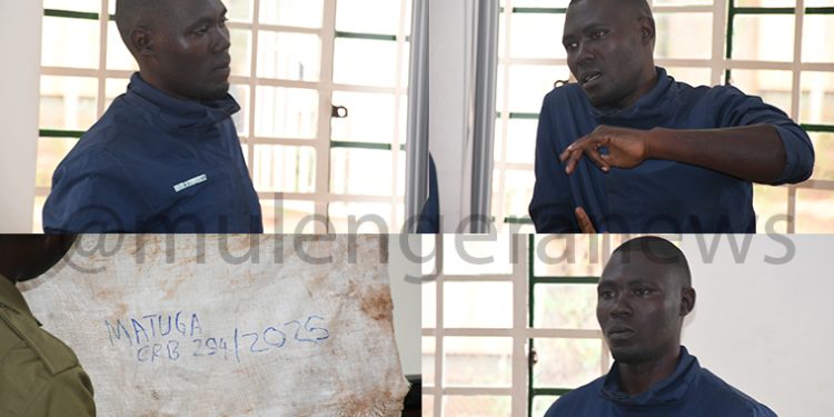 Total Chaos In Court as Notorious Thief Asks Judge to Order Man Whose Generator He Stole to Buy Him Lunch