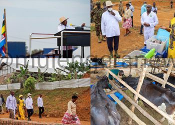 Stop Electing Opposition Leaders If You Want to Benefit from Gov’t Programmes-M7 Warns