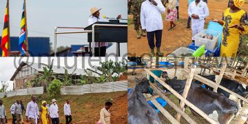 Stop Electing Opposition Leaders If You Want to Benefit from Gov’t Programmes-M7 Warns