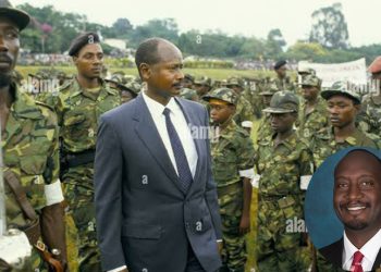 IS NRM OR MUSEVENIST OKAY?