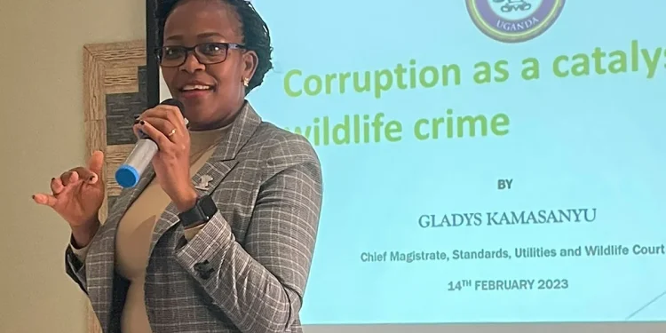 Irony as Police Contractor Is Convicted for Wetland Degradation, Encroachment