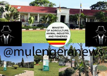 Agro Mafia Exposed: Top Dealer Caught Faking Inputs in Multi-Million Shilling Scam!