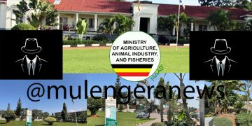 Agro Mafia Exposed: Top Dealer Caught Faking Inputs in Multi-Million Shilling Scam!