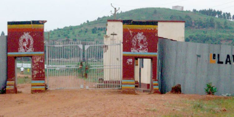 BLOOD MONEY GANG: Freed ADF Rebels Behind Busoga’s Ruthless Robbery Empire