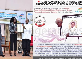 Unlock Your Investment & Development Potential with Public Opinions’ Comprehensive Services and products