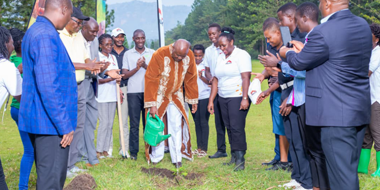Umukuka Joins Forces with Equity Bank in Massive Mbale Tree Planting Drive