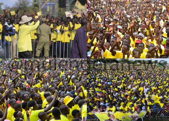 M7’s Cattle Compensation Pledge: A Vote-Bait or Real Relief for Northern Uganda?