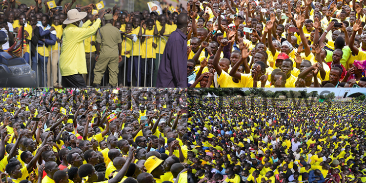 M7’s Cattle Compensation Pledge: A Vote-Bait or Real Relief for Northern Uganda?