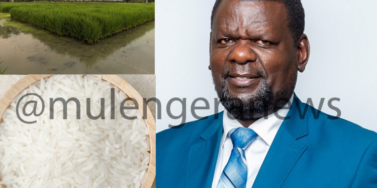 Inside Uganda’s Rice, Wheat Cartel: How Politicians Are Locking Traders Out of Business