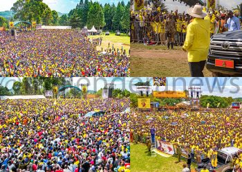 Jobless Graduates to Receive Special Fund in M7’s Next Gov’t