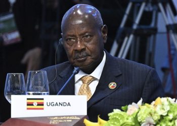 M7 Backs NRM Rebels to Cripple Opposition in 2026 Polls 